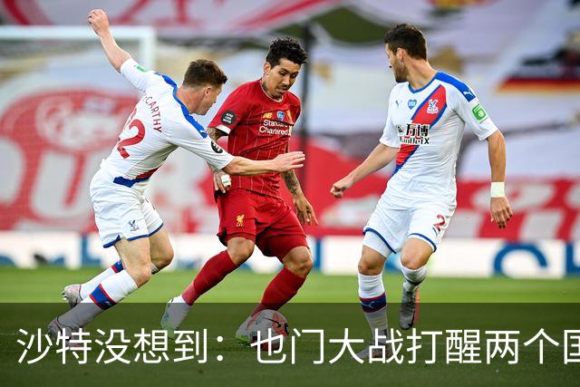 沙特没想到：也门大战打醒两个国家，一个是阿联酋，一个是伊朗